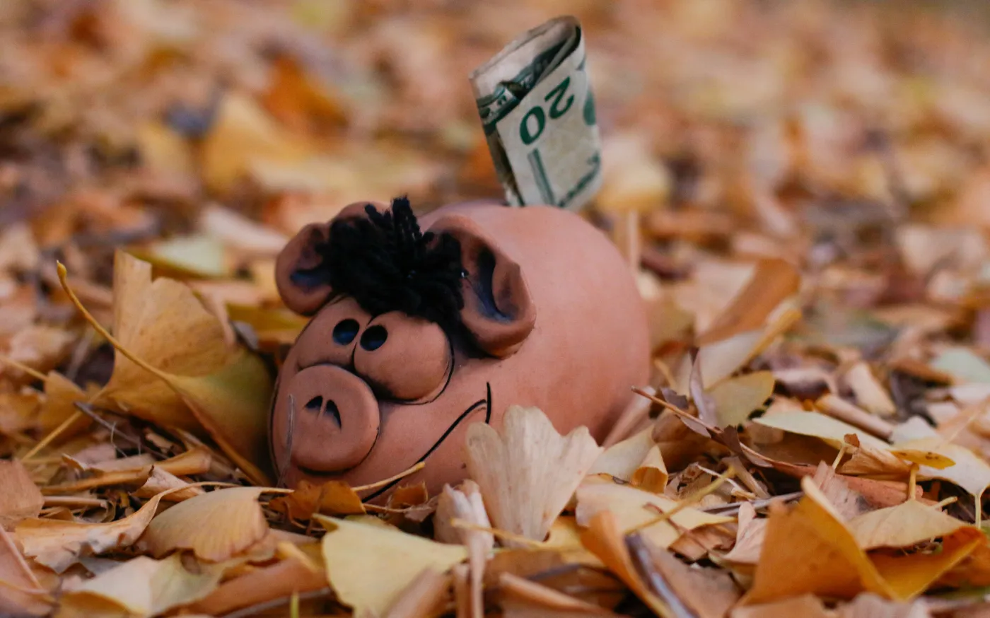 a piggy bank with a dollar bill sticking out of it by Alla Kemelmakher courtesy of Unsplash.